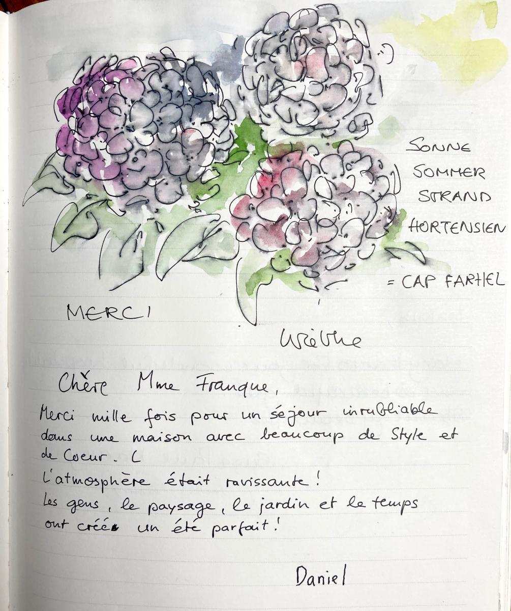 Hortensias livre d'or